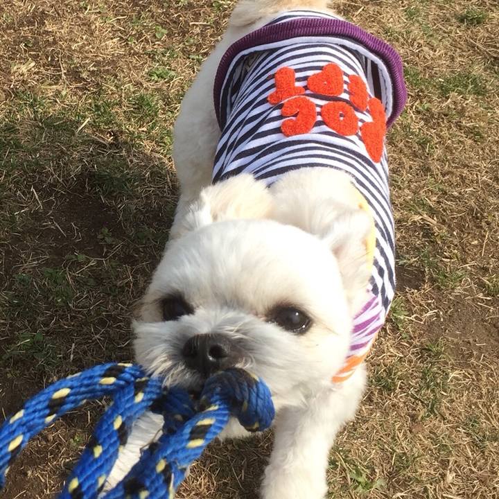 5bae4ebb dc3e 4502 b5c1 680cb4b6d7ea