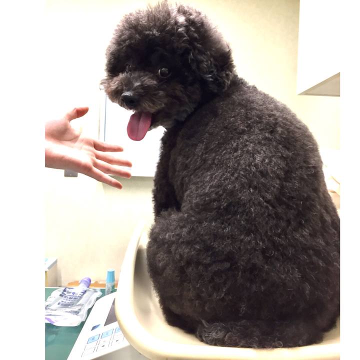 5bae7f93 90b1 427c 90de dec74024bec9