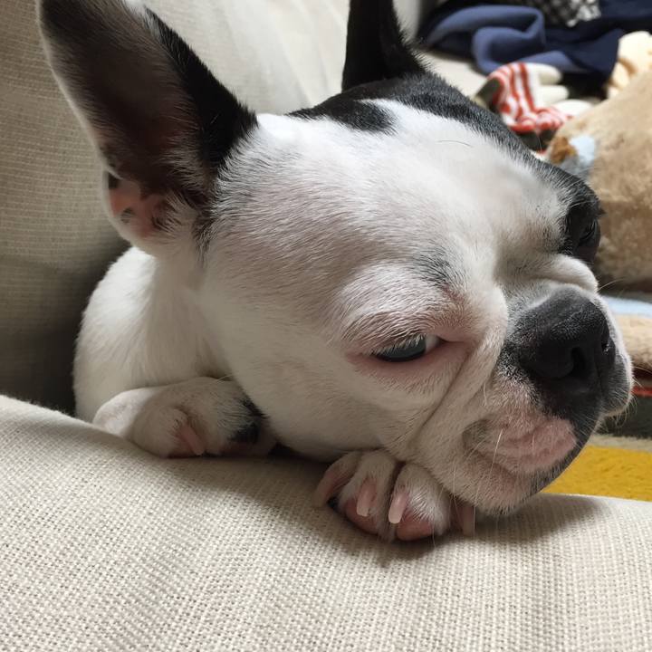 5baf500c 5c7f 4904 b2f7 9f4177e7db3d