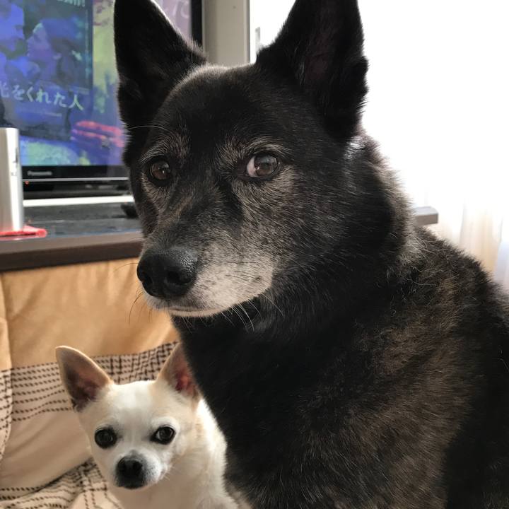 5baf5344 dec9 4791 9cb6 ee7f5a767855