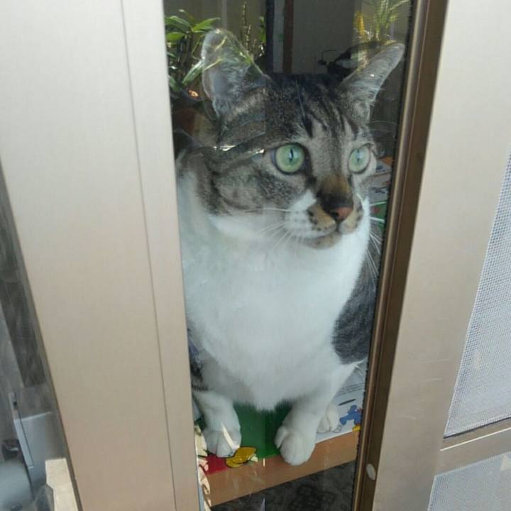 5bb01189 ab37 4359 8a70 49eb78baf677