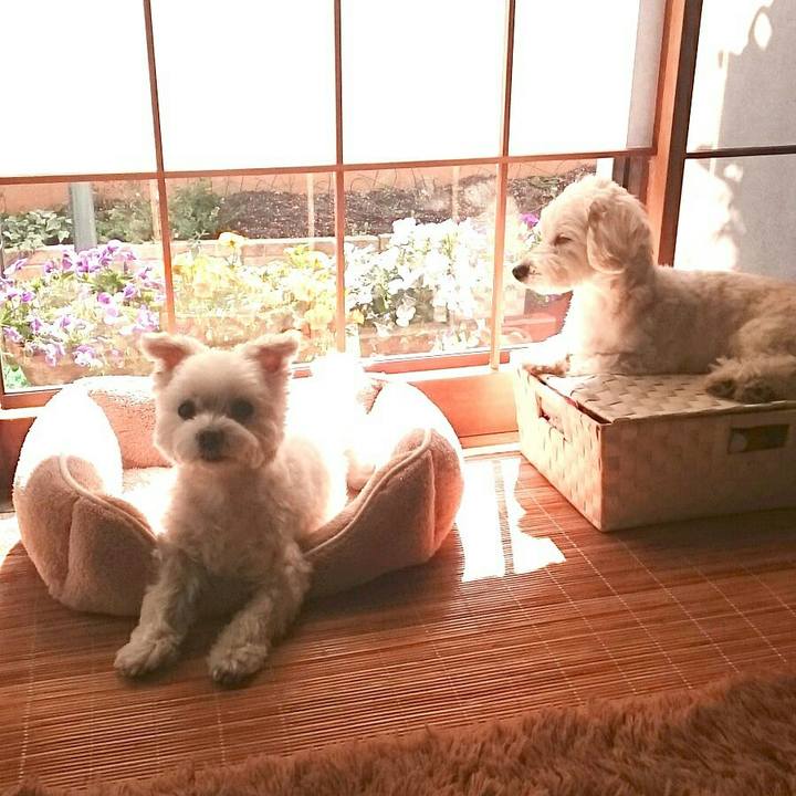 5bb0e092 4d08 42b5 a90b 4264ae6957d4