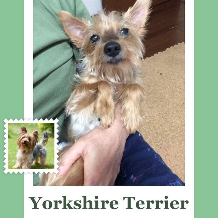 5bb1dc8b 9d8e 48e0 856e 08ade0bb98a9