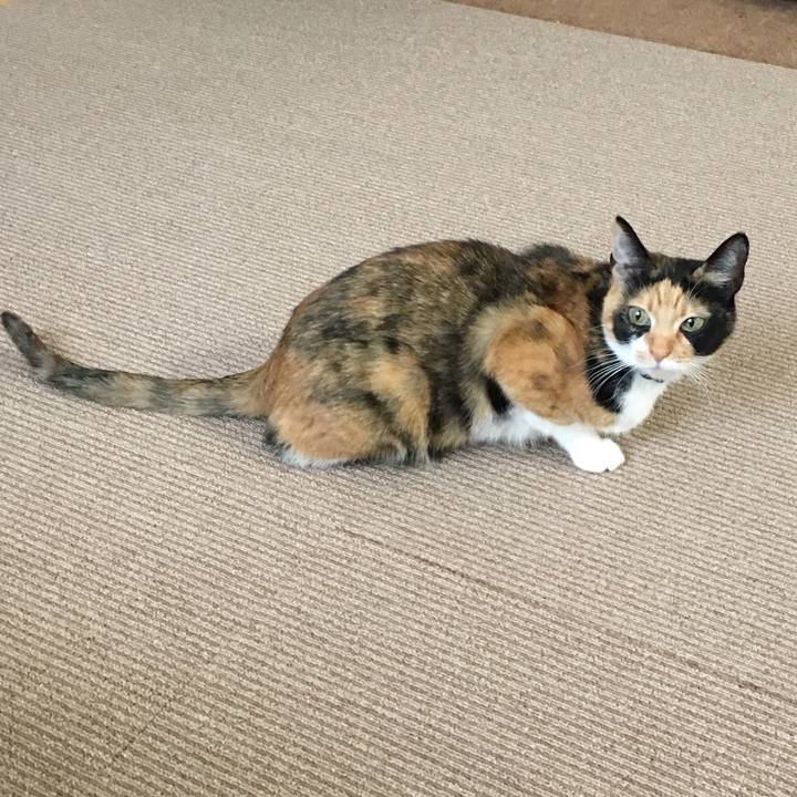 5bb22abb 228e 4281 876e 69e828af0b85