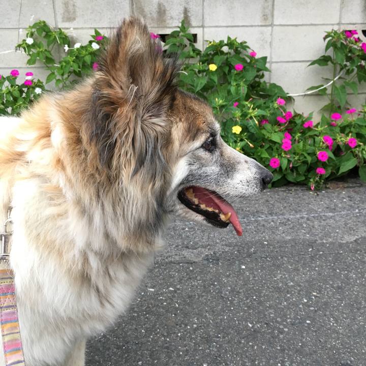 5bb22e76 09e5 438d bb32 cd97f168d02d