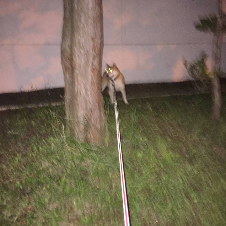 5bb27061 c435 45af 92f4 740946739ccc