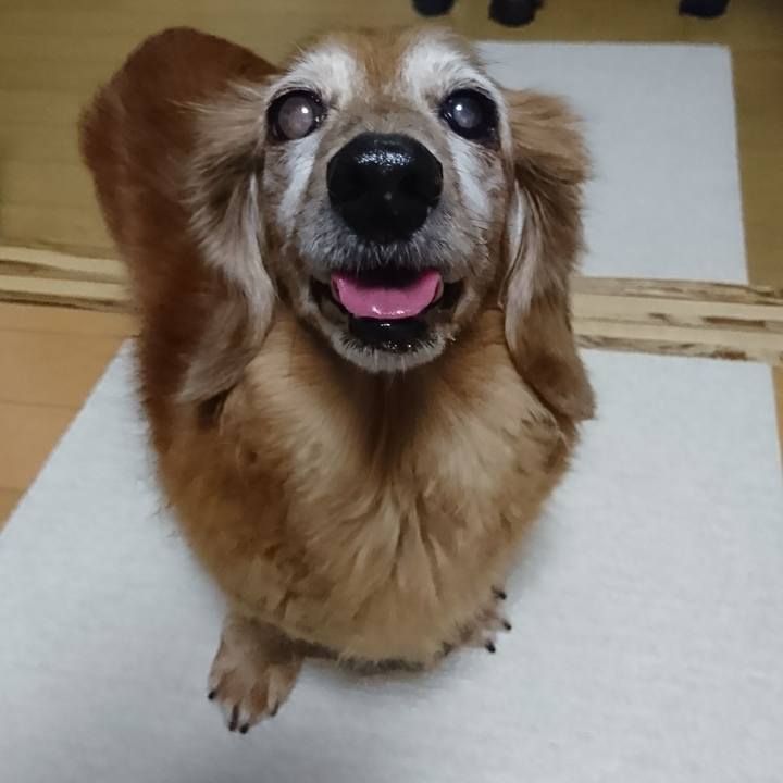 5bb27ff8 b3ea 45a4 906c 80844ec6ea6b