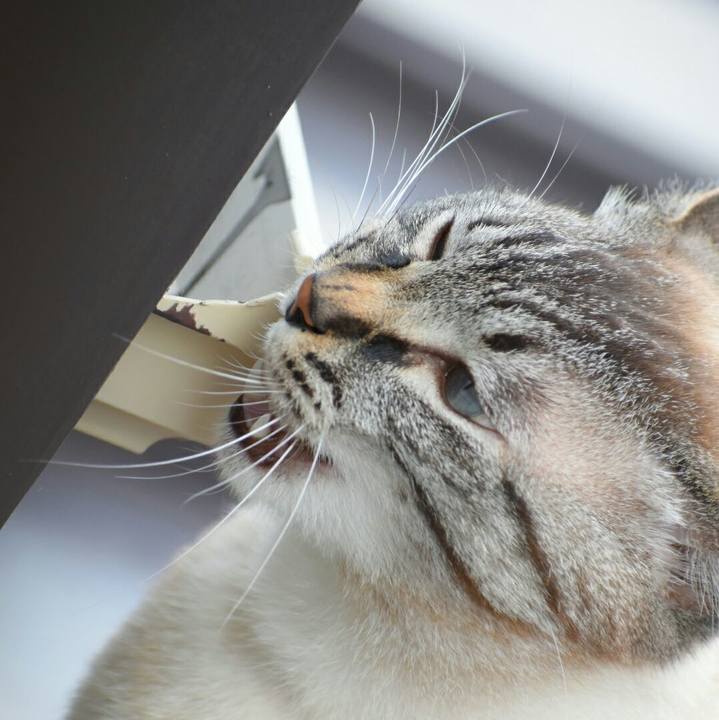 5bb281df 6a12 4279 a816 5a3f3e947041