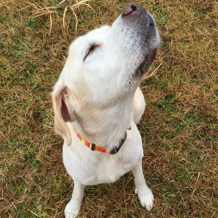 5bb2eeca 0163 4a1b adc7 5645d808ed88