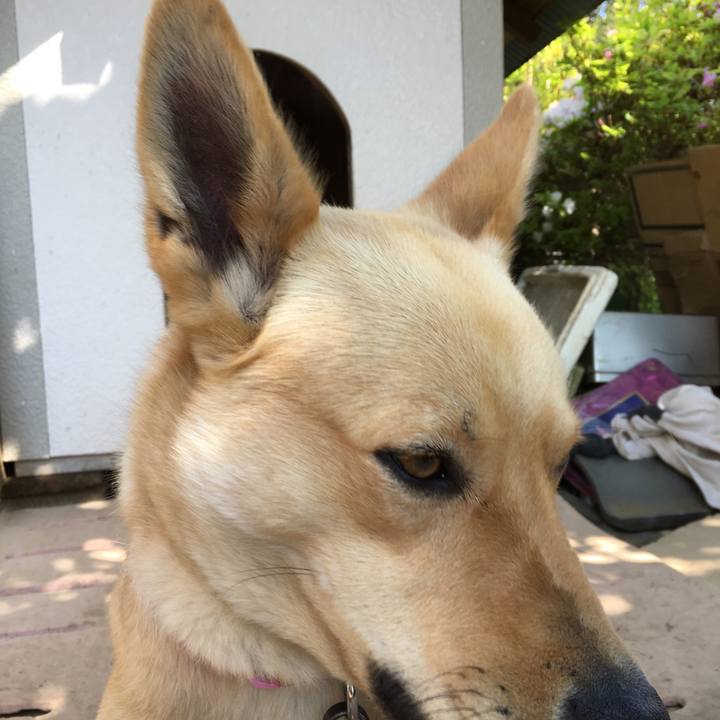 5bb31359 4ee5 4a96 86bf 4c1d6cde14f1