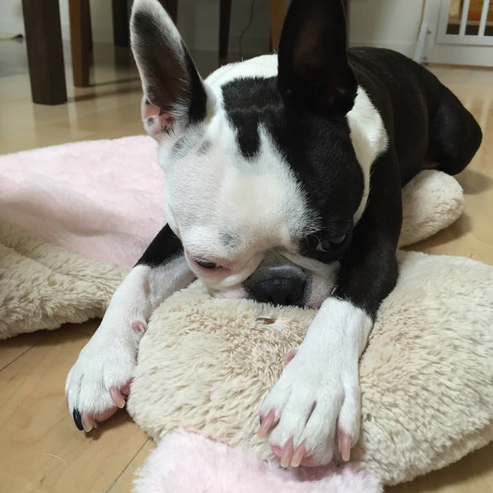 5bb3a5e7 9100 4f02 b283 95677b3b1220