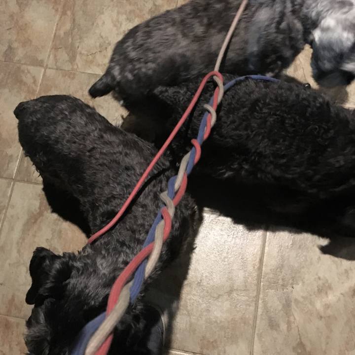 5bb3baec 6e29 4694 8340 5c0aaa3fae1e