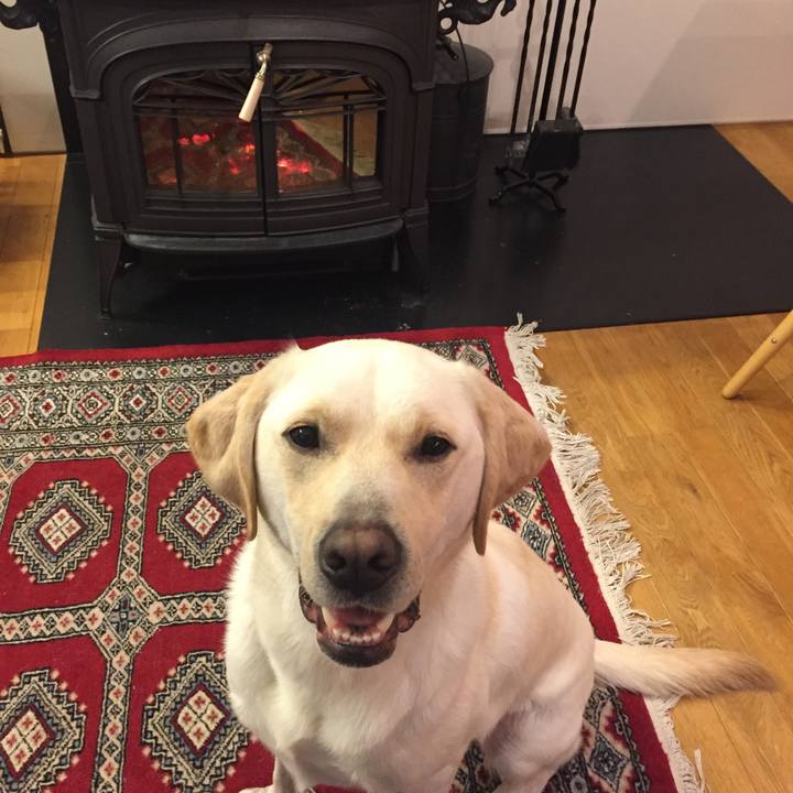 5bb4e646 0aeb 4c56 8f37 a7dd0f0f93d6