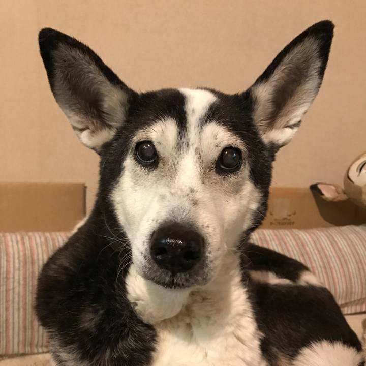 5bb52f4d 21cc 41a6 bb3f 25b9d357eab1