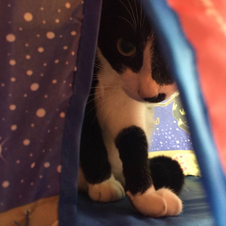 5bb5a9f9 10f1 4d8f ba37 9277f646c502