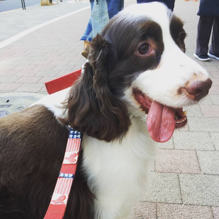 5bb5e69b 94f9 4f02 a4e9 85d9b59cbbbd