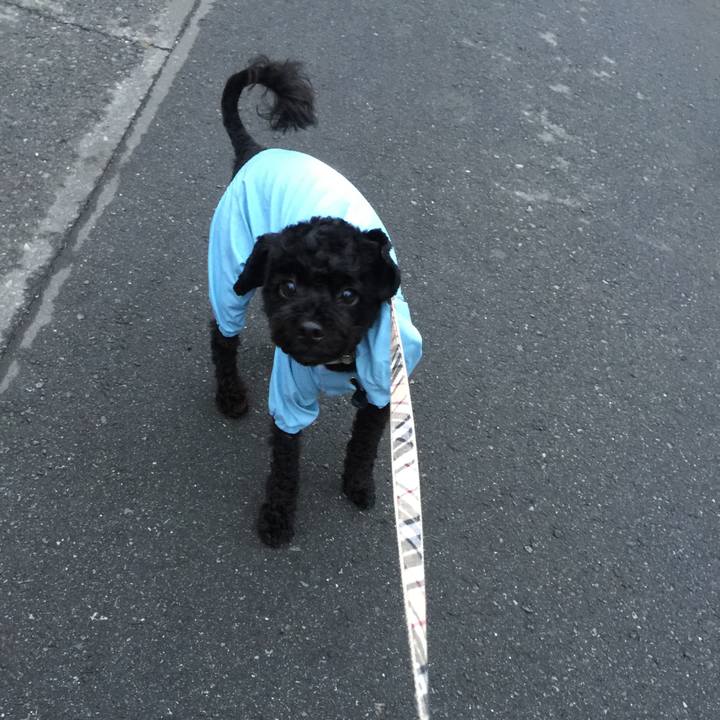 5bb61525 efbe 4849 9058 d5946af71305