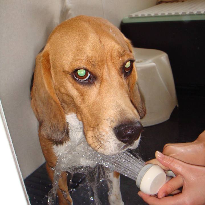 5bb61af0 9326 4bb3 b4c4 6daf1f723636