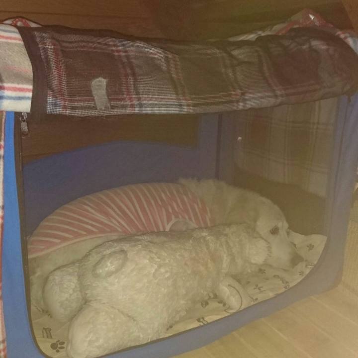 5bb61eae 1a8e 483e 91bb 38522e1f02b4