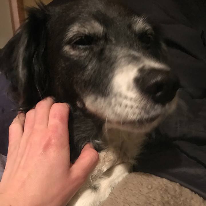 5bb6640d b1e5 4751 b62a 9dd965ce3b88