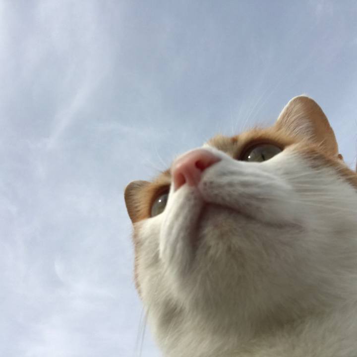 5bb6da05 a0e7 4ccd 9798 7f8866714864