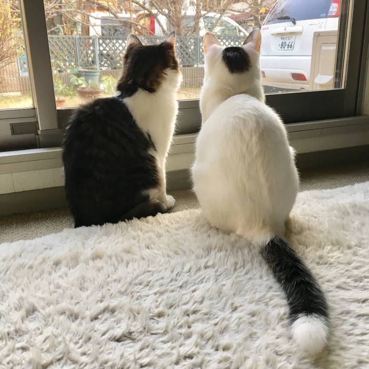 5bb6df3e 3258 460f 8047 d3d762f60702