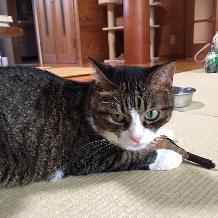 5bb74d69 db84 42e6 ab23 69a5115bf7f2