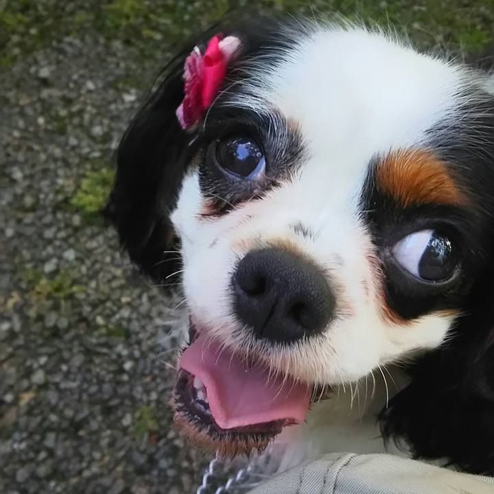 5bb76f64 c6d7 4676 bbb0 7bb01d9faa83