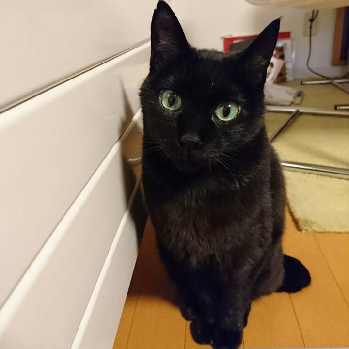 5bb7d813 80d9 4d85 99d8 218a10b52634