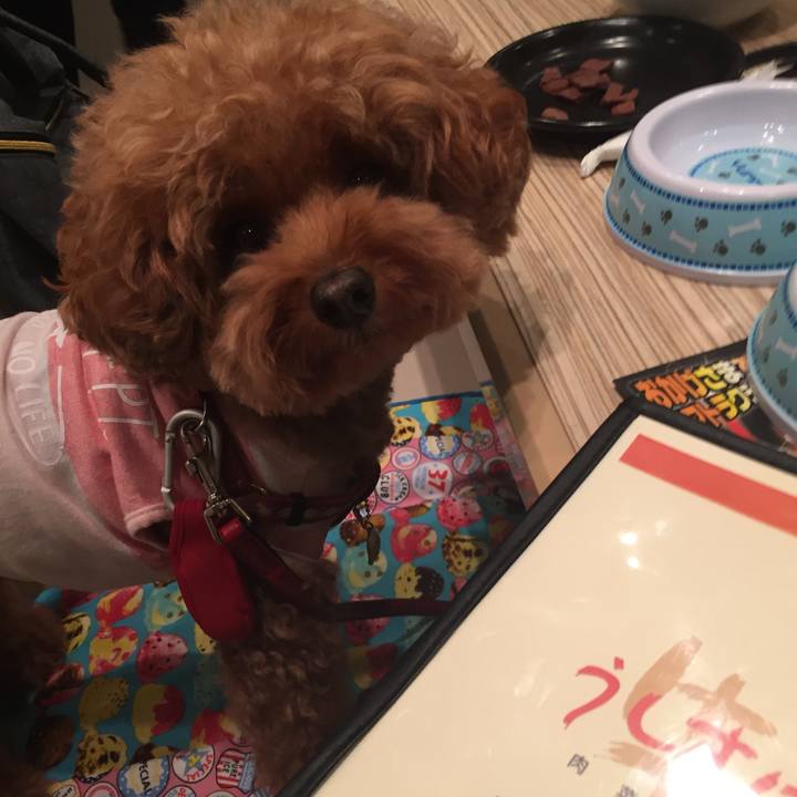 5bb825ef 13be 4268 bbd1 a91673ae486b