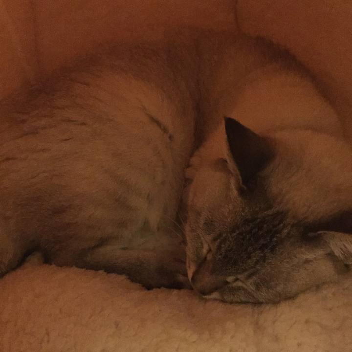 5bb862d9 b6f7 4cd6 a1c9 e00e060f62d5