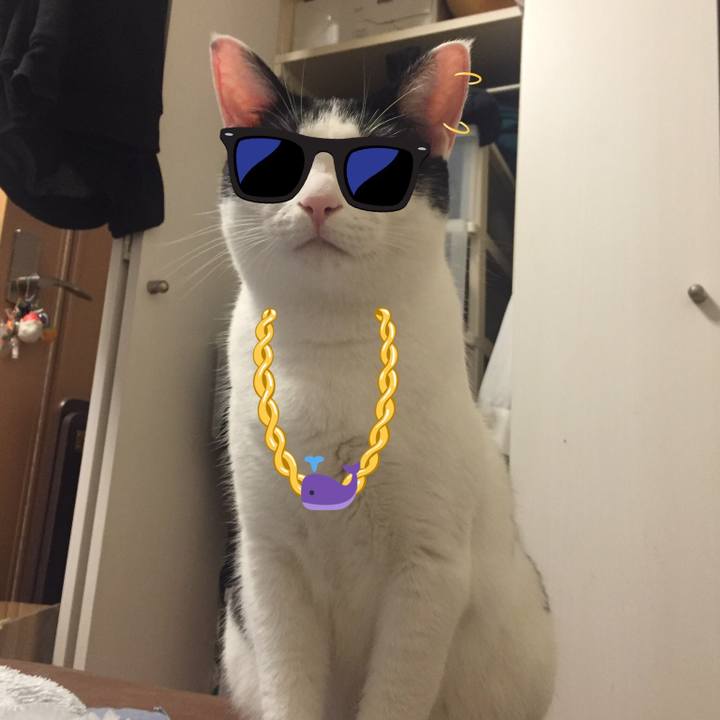 5bb8b14a e3cf 431a 9bed 992c12c4d972