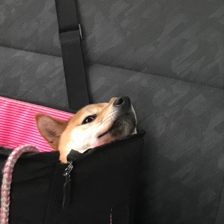 5bb93443 117e 455d 9229 6862d845b23f