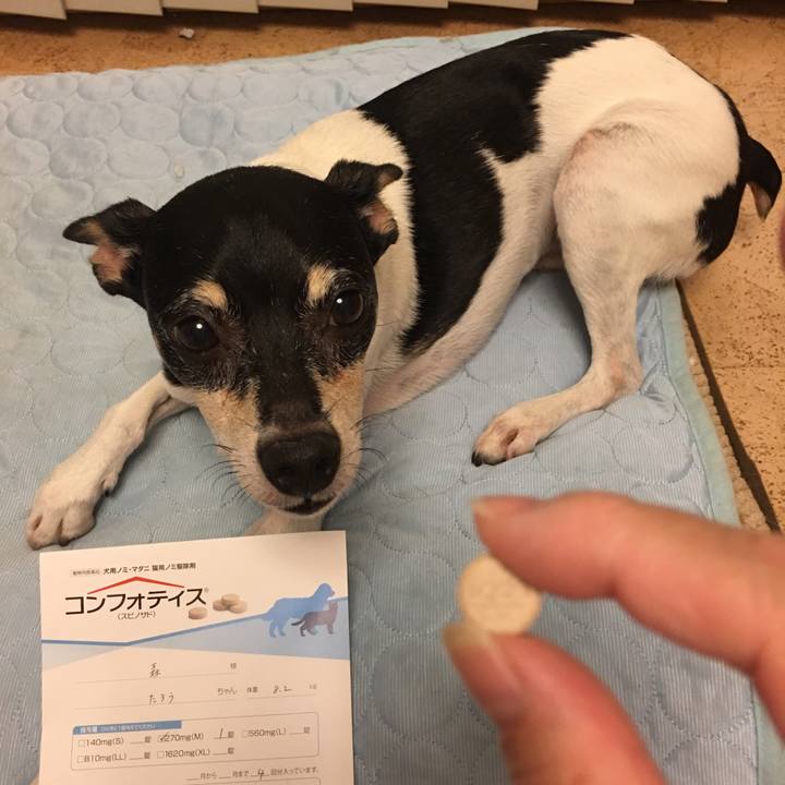 5bb9a37e 39e4 45da bb3c ec8797b3c9fe