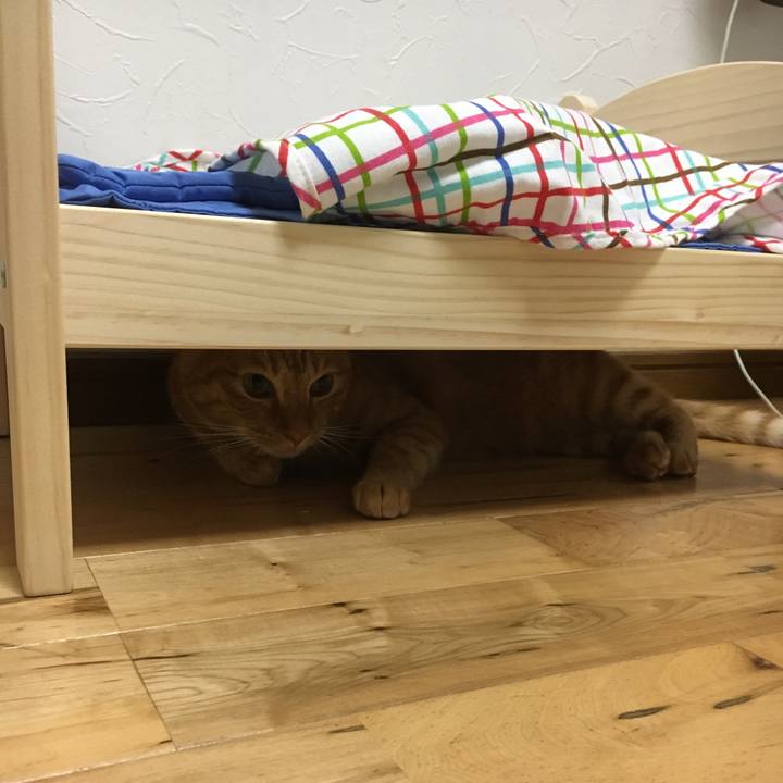 5bb9acfd 441f 4f3e a7c9 b764cb4c78f4