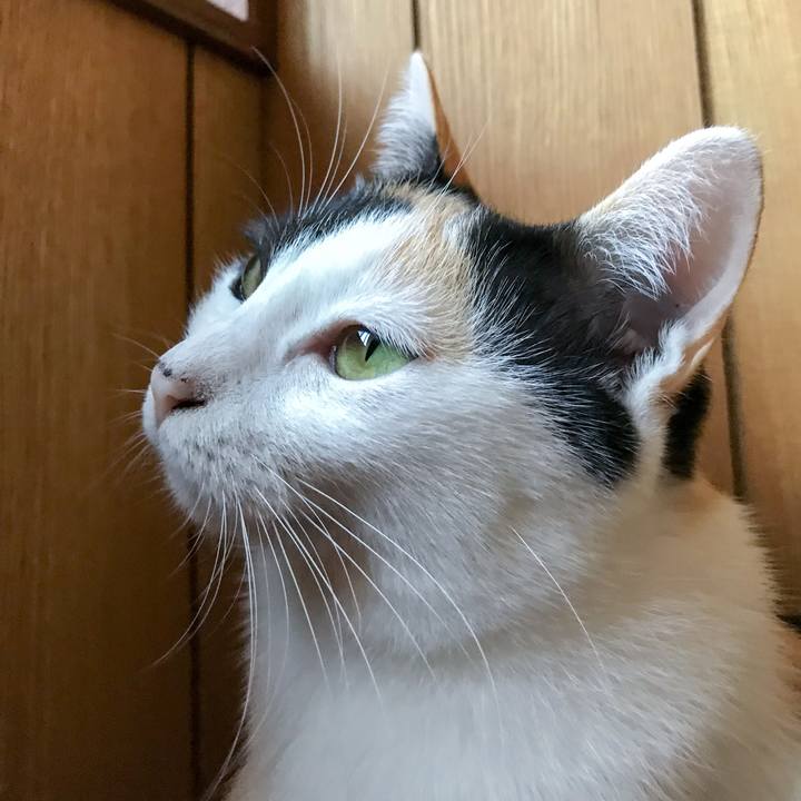 5bba0228 2a31 4694 be94 28b57190dfc5