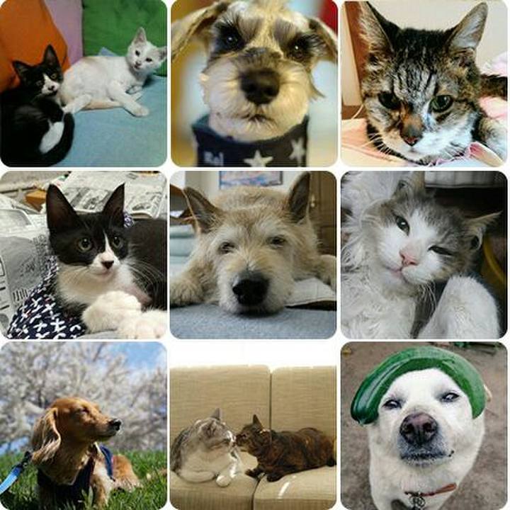 5bba38c5 7492 45fa bfae 272e104e8242