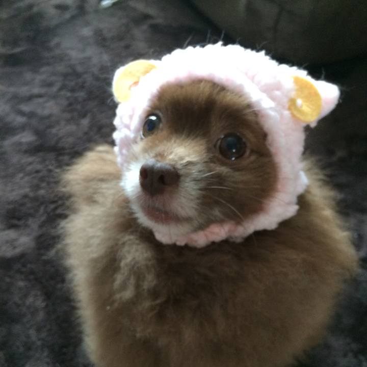 5bba565b 2798 4632 b152 04e54907ea8c