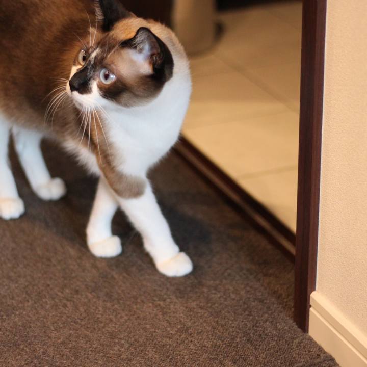 5bba7a39 b8b7 4329 a0bd 4b7fbd17f328