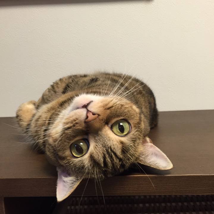 5bbafee1 ed25 437d 9700 268b1c8d2e07