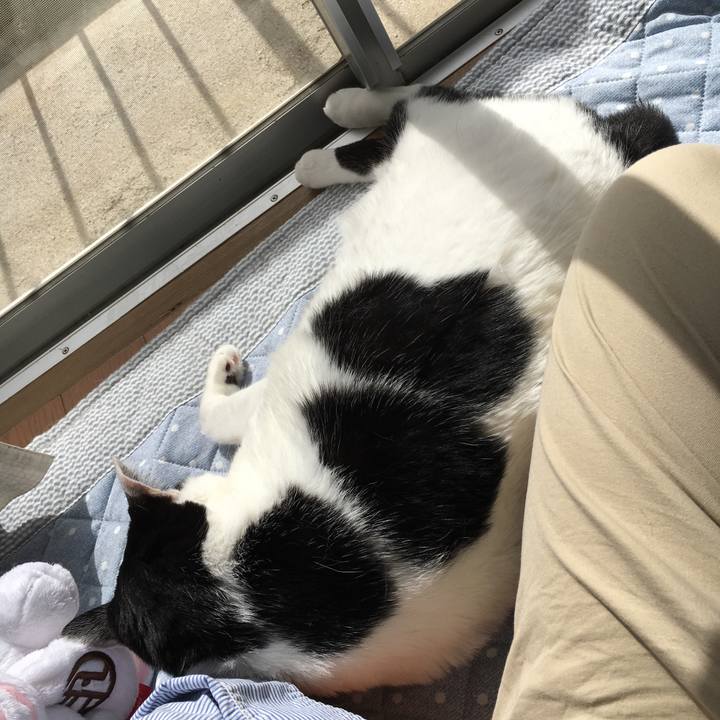 5bbb0819 9091 4171 86e0 55bc8d9a463a