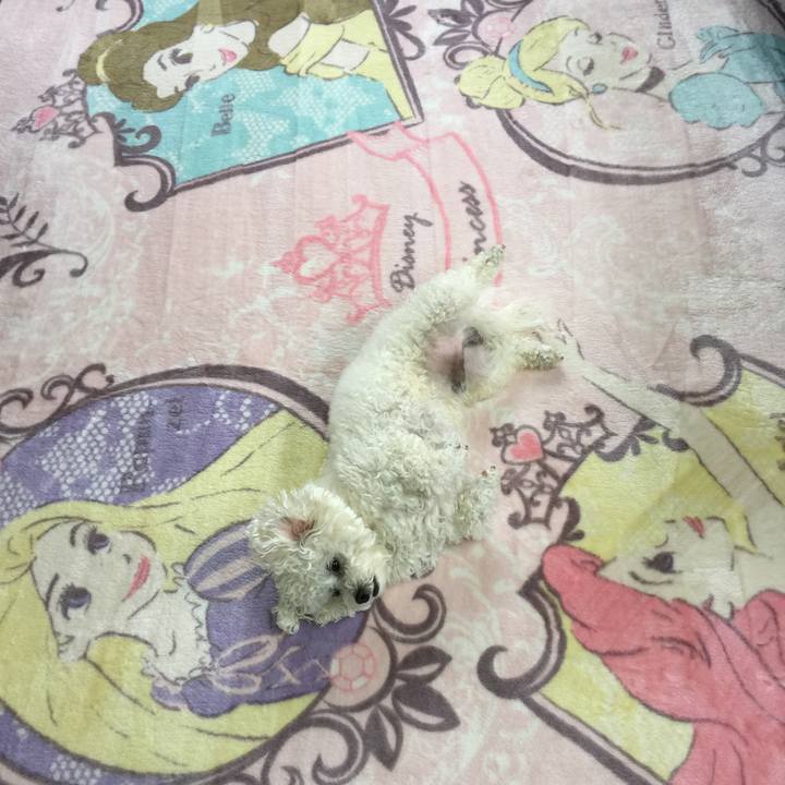 5bbb5208 2bf5 460a 9598 86f3689434fb