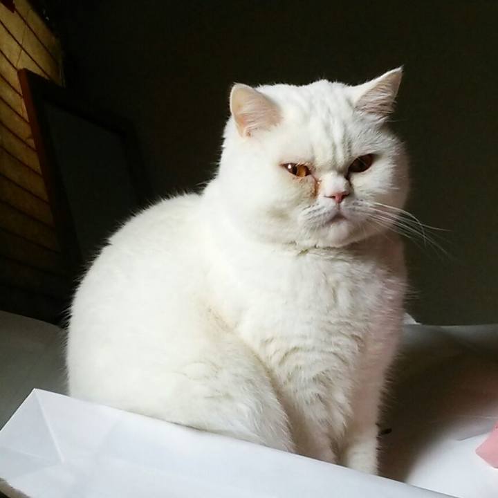 5bbb5404 65f5 4d06 b24d 0be81f1d91e8