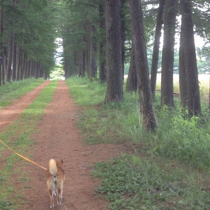 5bbb749e 571c 4a80 b4f6 7daad38d6f29