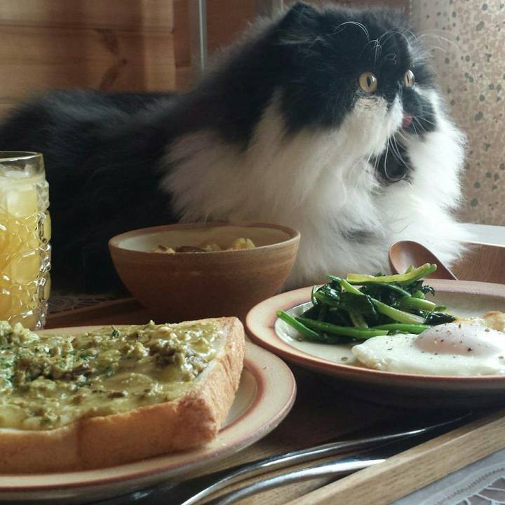 5bbb823b aa54 412b a085 4aa768e10f16