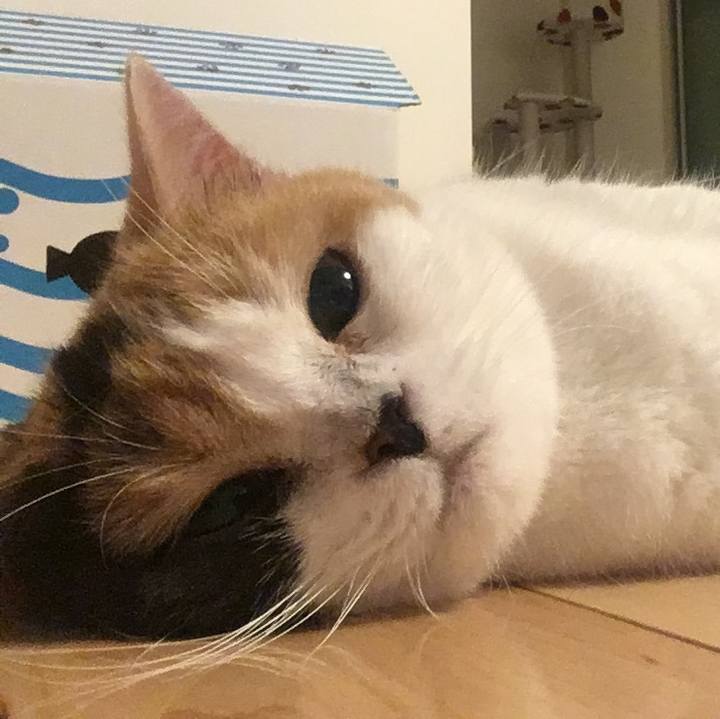 5bbba06e 0d4b 405e b024 36b1a9557d49