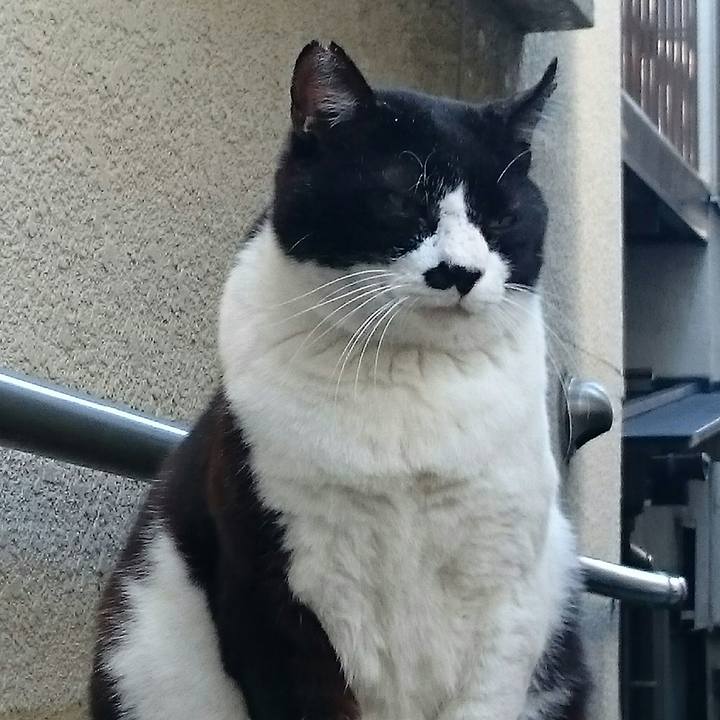 5bbbc708 0ef8 4fad 8467 2933ec0c4ecc