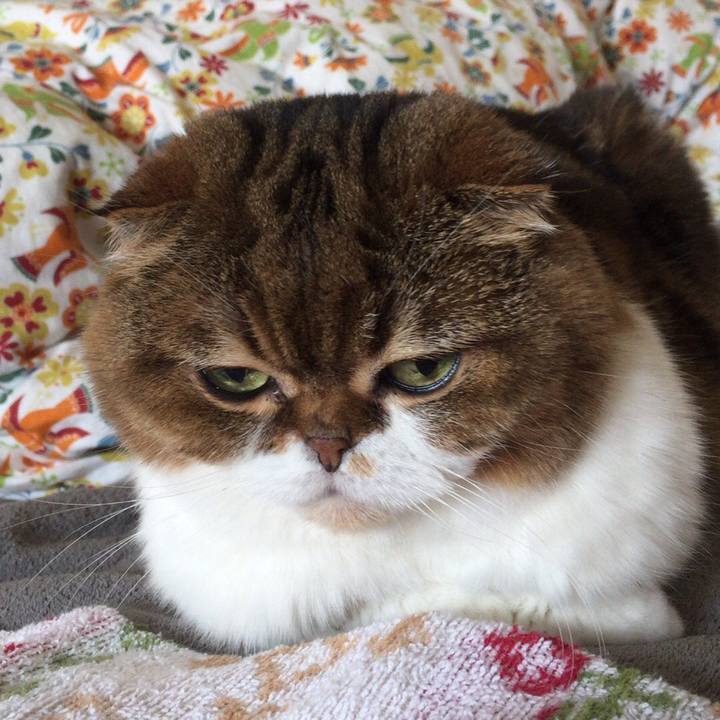 5bbbca9b 1ada 4716 9e9a b24795aa8d54