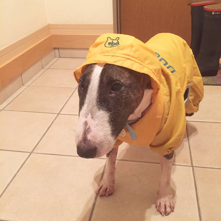 5bbc545f ea0e 4ac7 a309 e647e64cf6cf