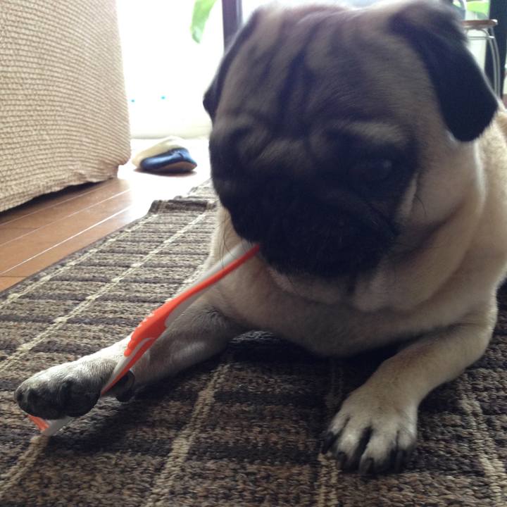 5bbc70bb 46a5 4c4e a5a6 b647181b7e6f